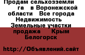 Продам сельхозземли ( 6 000 га ) в Воронежской области - Все города Недвижимость » Земельные участки продажа   . Крым,Белогорск